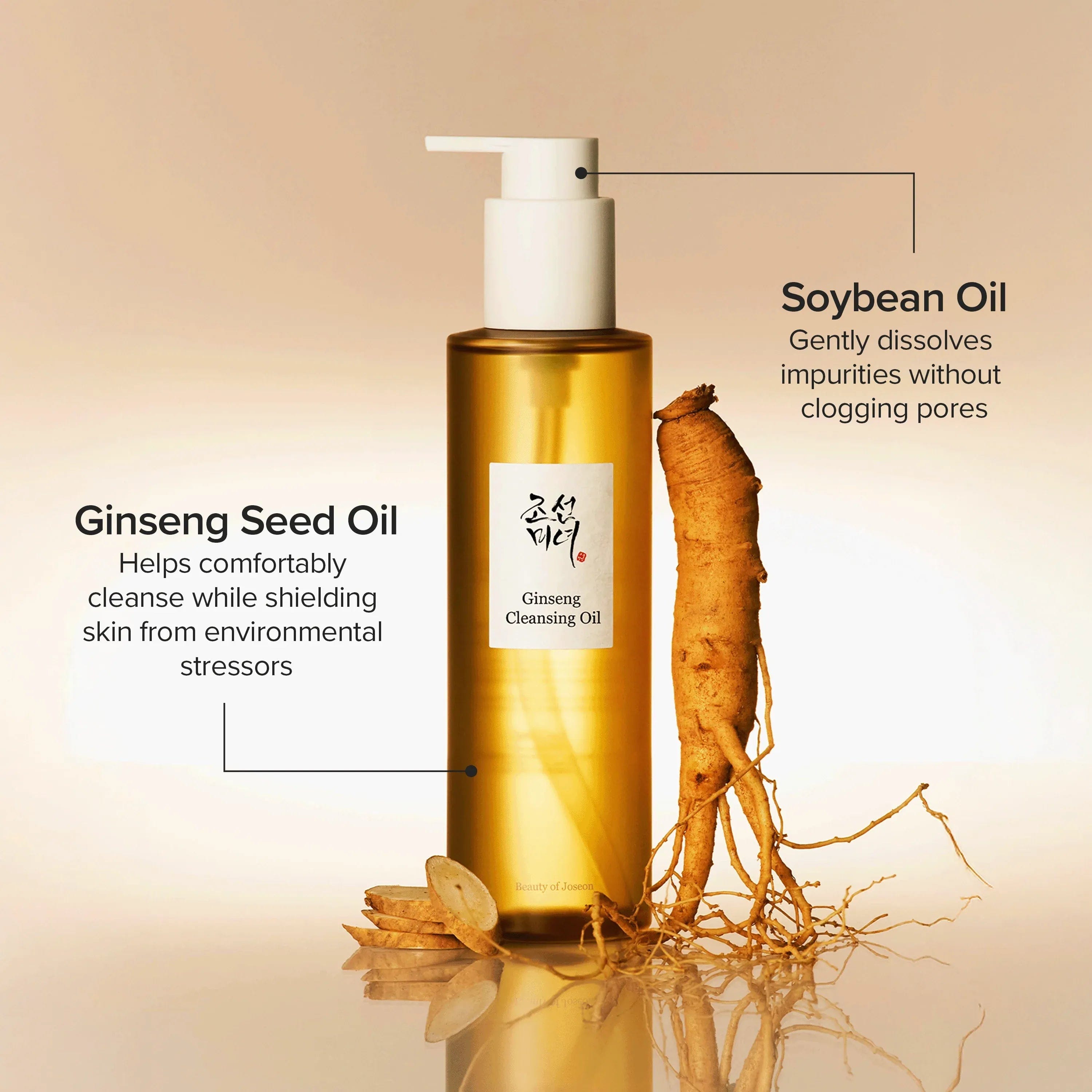 Beauty of Joseon Aqua Fresh SPF50+ | Oil-Free Sunscreen