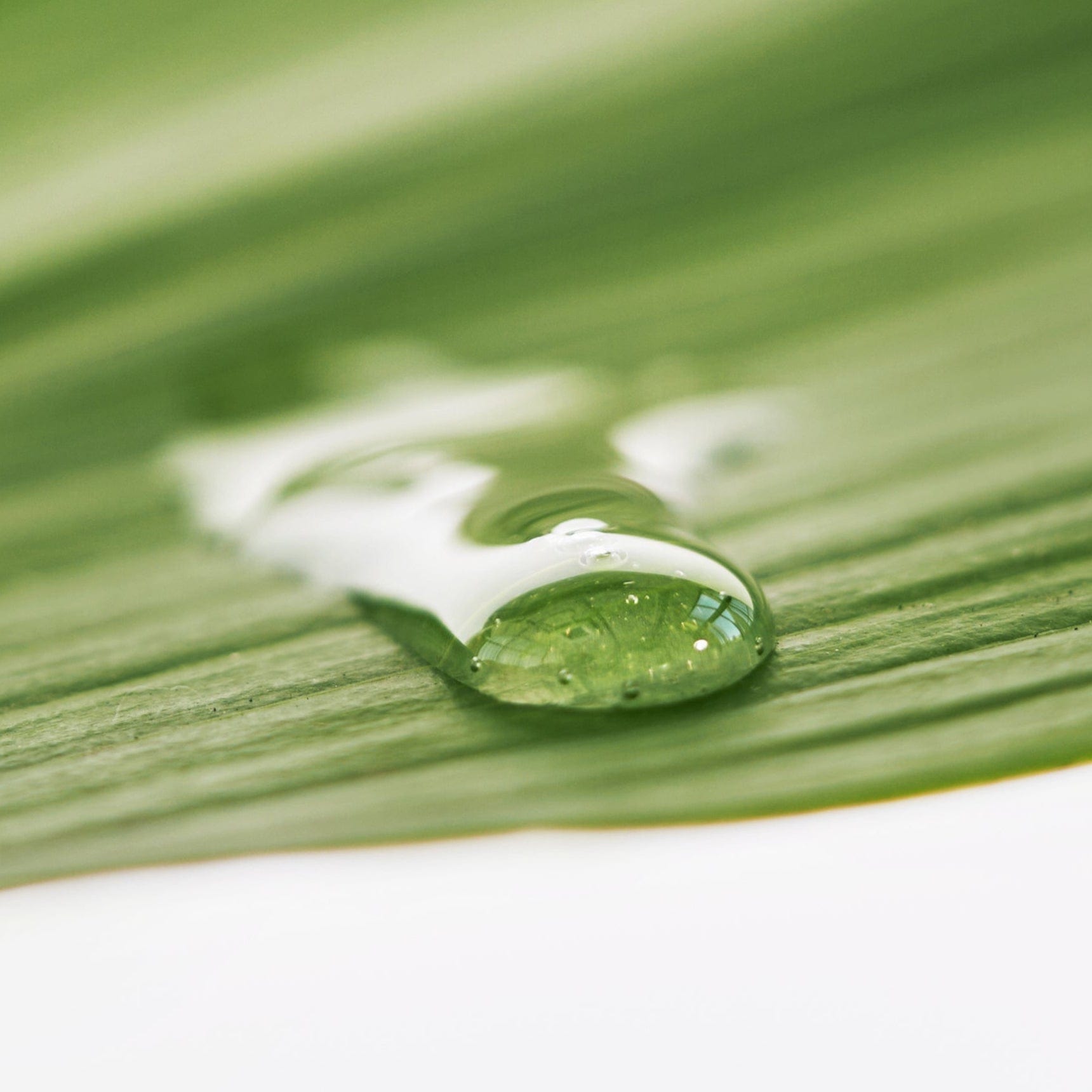 Haruharu Wonder Black Bamboo Mist 80 mL